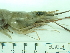  ( - SL10_1)  @11 [ ] Attribution by J. Groeneveld (2025) J. Groeneveld Oceanographic Research Institute