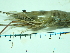  ( - SL10_1)  @11 [ ] Attribution by J. Groeneveld (2025) J. Groeneveld Oceanographic Research Institute