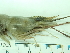  ( - SL10_1)  @11 [ ] Attribution by J. Groeneveld (2025) J. Groeneveld Oceanographic Research Institute