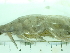  ( - SL10_2)  @11 [ ] Attribution by J. Groeneveld (2025) J. Groeneveld Oceanographic Research Institute