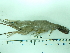  ( - SL10_2)  @11 [ ] Attribution by J. Groeneveld (2025) J. Groeneveld Oceanographic Research Institute