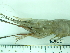  ( - SL10_2)  @11 [ ] Attribution by J. Groeneveld (2025) J. Groeneveld Oceanographic Research Institute