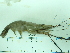  ( - SL10_2)  @11 [ ] Attribution by J. Groeneveld (2025) J. Groeneveld Oceanographic Research Institute