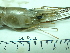  ( - SL10_2)  @11 [ ] Attribution by J. Groeneveld (2025) J. Groeneveld Oceanographic Research Institute