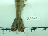  ( - SL10_2)  @11 [ ] Attribution by J. Groeneveld (2025) J. Groeneveld Oceanographic Research Institute