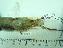  ( - SL12_1)  @11 [ ] Attribution by J. Groeneveld (2025) J. Groeneveld Oceanographic Research Institute