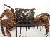 ( - SL17_5)  @11 [ ] Attribution by J. Groeneveld (2025) J. Groeneveld Oceanographic Research Institute