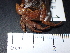  ( - SL4_1)  @11 [ ] Attribution by J. Groeneveld (2025) J. Groeneveld Oceanographic Research Institute