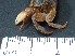  ( - SL4_2)  @11 [ ] Attribution by J. Groeneveld (2025) J. Groeneveld Oceanographic Research Institute