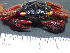  ( - SL9_2)  @11 [ ] Attribution by J. Groeneveld (2025) J. Groeneveld Oceanographic Research Institute