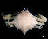  ( - ESS-B-1021)  @11 [ ] cc-by-sa (2024) Oceanographic Research Institute Oceanographic Research Institute