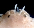  ( - ESS-B-1021)  @11 [ ] cc-by-sa (2024) Oceanographic Research Institute Oceanographic Research Institute