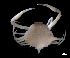  ( - ESS-B-1022)  @11 [ ] cc-by-sa (2024) Oceanographic Research Institute Oceanographic Research Institute