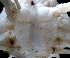  ( - ESS-B-1022)  @11 [ ] cc-by-sa (2024) Oceanographic Research Institute Oceanographic Research Institute