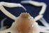  ( - ESS-B-1023)  @11 [ ] cc-by-sa (2024) Oceanographic Research Institute Oceanographic Research Institute