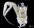  ( - ESS-B-1032)  @11 [ ] cc-by-sa (2024) Oceanographic Research Institute Oceanographic Research Institute