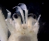  ( - ESS-B-1032)  @11 [ ] cc-by-sa (2024) Oceanographic Research Institute Oceanographic Research Institute
