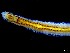 ( - ESS-B-1097)  @11 [ ] cc-by-sa (2024) Oceanographic Research Institute Oceanographic Research Institute