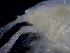 ( - ESS-B-1099)  @11 [ ] cc-by-sa (2024) Oceanographic Research Institute Oceanographic Research Institute
