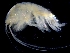  ( - ESS-B-1100)  @11 [ ] cc-by-sa (2024) Oceanographic Research Institute Oceanographic Research Institute