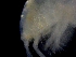  ( - ESS-B-1100)  @11 [ ] cc-by-sa (2024) Oceanographic Research Institute Oceanographic Research Institute