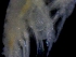  ( - ESS-B-1100)  @11 [ ] cc-by-sa (2024) Oceanographic Research Institute Oceanographic Research Institute