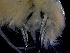  ( - ESS-B-1102)  @11 [ ] cc-by-sa (2024) Oceanographic Research Institute Oceanographic Research Institute