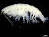  ( - ESS-B-1118)  @11 [ ] cc-by-sa (2024) Oceanographic Research Institute Oceanographic Research Institute