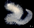  ( - ESS-B-18)  @11 [ ] cc-by-sa (2024) Oceanographic Research Institute Oceanographic Research Institute