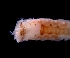  ( - ESS-B-242)  @11 [ ] cc-by-sa (2024) Oceanographic Research Institute Oceanographic Research Institute