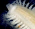  ( - ESS-B-359)  @11 [ ] cc-by-sa (2024) Oceanographic Research Institute Oceanographic Research Institute