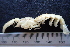  ( - ESS-B-360)  @11 [ ] cc-by-sa (2024) Oceanographic Research Institute Oceanographic Research Institute