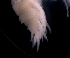  ( - ESS-B-380)  @11 [ ] cc-by-sa (2024) Oceanographic Research Institute Oceanographic Research Institute