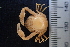  ( - ESS-B-546)  @11 [ ] cc-by-sa (2024) Oceanographic Research Institute Oceanographic Research Institute