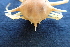  ( - ESS-B-581)  @11 [ ] cc-by-sa (2024) Oceanographic Research Institute Oceanographic Research Institute