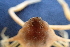  ( - ESS-B-581)  @11 [ ] cc-by-sa (2024) Oceanographic Research Institute Oceanographic Research Institute
