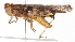  ( - BIOUG01998-B08)  @14 [ ] CreativeCommons - Attribution (2012) CBG Photography Group Centre for Biodiversity Genomics