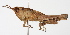  ( - BIOUG01998-D07)  @14 [ ] CreativeCommons - Attribution (2012) CBG Photography Group Centre for Biodiversity Genomics