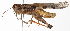  ( - BIOUG01998-G02)  @14 [ ] CreativeCommons - Attribution (2012) CBG Photography Group Centre for Biodiversity Genomics