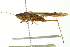  ( - BIOUG02001-F10)  @14 [ ] CreativeCommons - Attribution (2012) CBG Photography Group Centre for Biodiversity Genomics