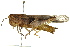  ( - BIOUG02001-H05)  @14 [ ] CreativeCommons - Attribution (2012) CBG Photography Group Centre for Biodiversity Genomics