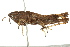  ( - BIOUG02002-A06)  @14 [ ] CreativeCommons - Attribution (2012) CBG Photography Group Centre for Biodiversity Genomics
