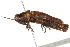  ( - BIOUG02002-B04)  @15 [ ] CreativeCommons - Attribution (2012) CBG Photography Group Centre for Biodiversity Genomics