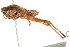  ( - BIOUG02002-B07)  @15 [ ] CreativeCommons - Attribution (2012) CBG Photography Group Centre for Biodiversity Genomics