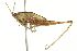  ( - BIOUG02002-H04)  @14 [ ] CreativeCommons - Attribution (2012) CBG Photography Group Centre for Biodiversity Genomics
