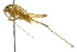 ( - BIOUG02002-H08)  @14 [ ] CreativeCommons - Attribution (2012) CBG Photography Group Centre for Biodiversity Genomics
