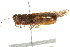  ( - BIOUG02003-A05)  @14 [ ] CreativeCommons - Attribution (2012) CBG Photography Group Centre for Biodiversity Genomics
