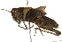  ( - BIOUG02003-B04)  @14 [ ] CreativeCommons - Attribution (2012) CBG Photography Group Centre for Biodiversity Genomics