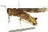  ( - BIOUG02004-B08)  @14 [ ] CreativeCommons - Attribution (2012) CBG Photography Group Centre for Biodiversity Genomics
