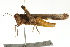  ( - BIOUG02004-C02)  @14 [ ] CreativeCommons - Attribution (2012) CBG Photography Group Centre for Biodiversity Genomics